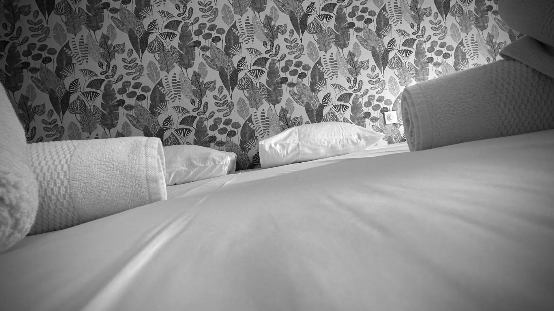 Appartement Cosy & Moderne T2 Avec Jardin Parking Brest Apartment